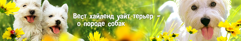 ����� - � ������ �����