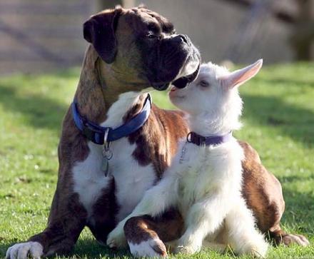 ������-������