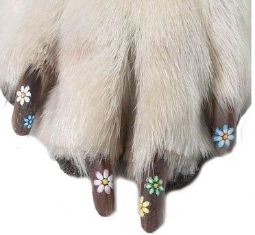 ��������� �����