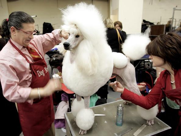 ������� �������