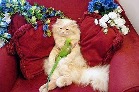 ����� ����� ���