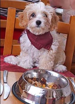 ��� ��������� � ������� � ���-�����?