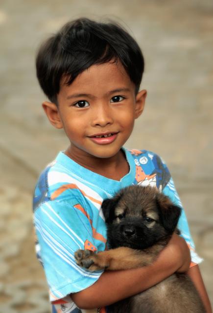 ����, ���� �������!