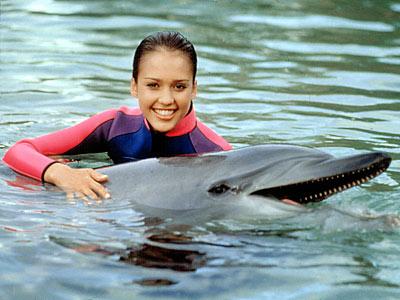 ����� ���������� �������� ���������