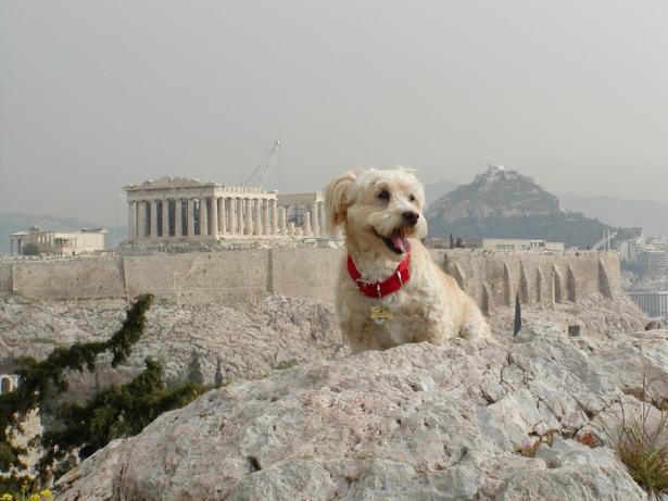 ������ �������