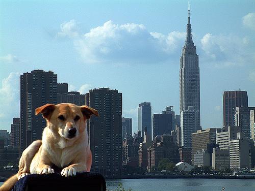 ������ �������