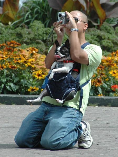 ������ �������