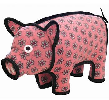 ������ �����