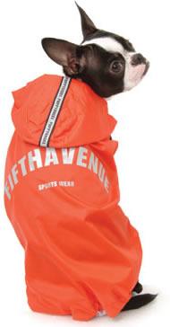 ����� �� ������