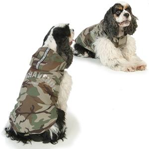 ����� �� ������