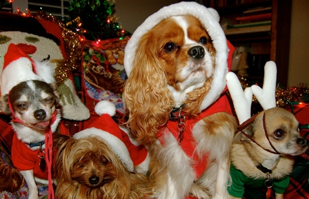 ���������� ������