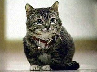 ��������� ������ �����