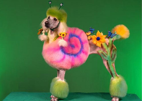 ������� �������