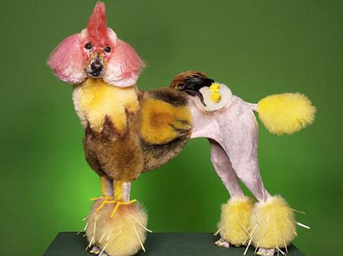 ������� �������