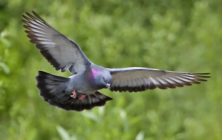 ��� ��������, �� �������� ���