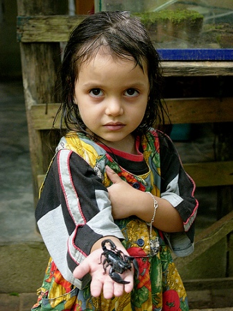 ������������ �������� ��������