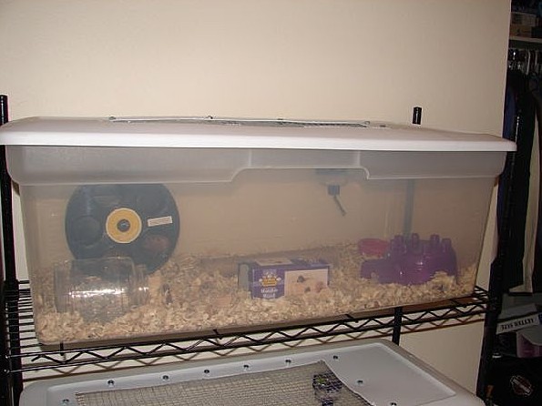 ������ - ������ �����!