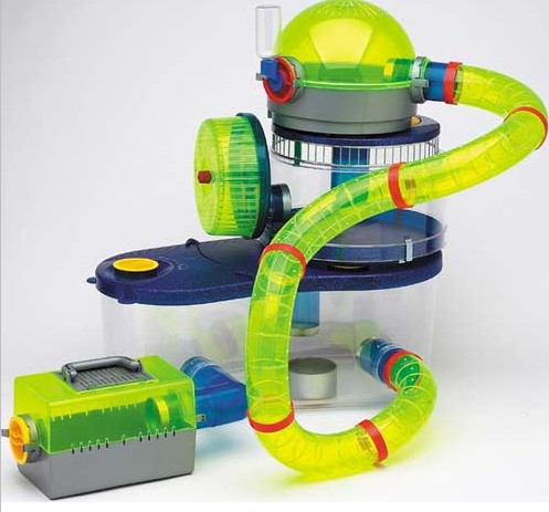 ������ - ������ �����!