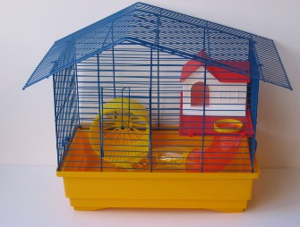 ������ - ������ �����!