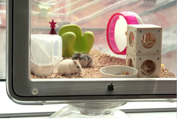 ������ - ������ �����!