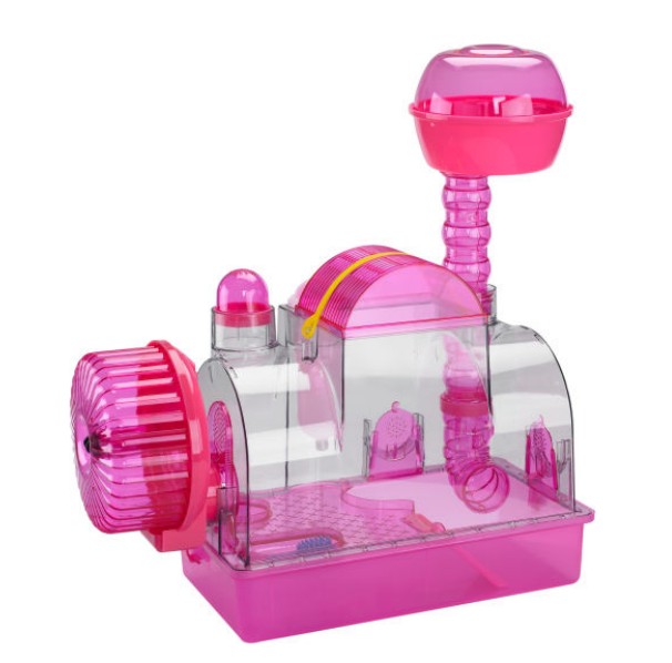 ������ - ������ �����!