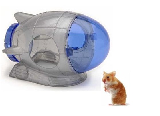 ������ - ������ �����!