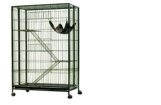 ������ - ������ �����!