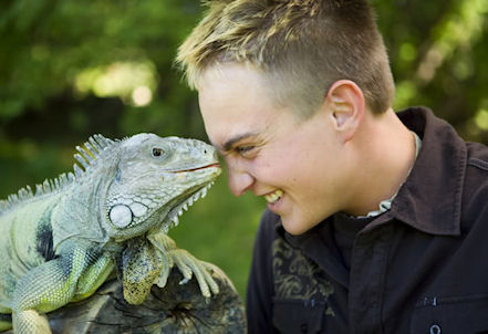 �������� ������� ��������