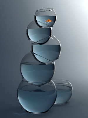 ����������� ����������� ������������