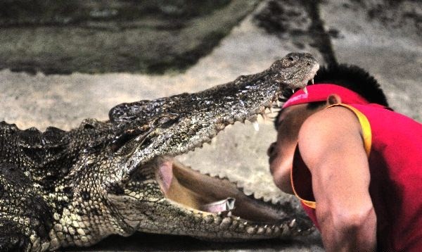 �������� ������� ��������