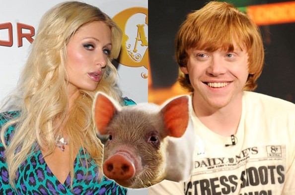 ��� �� ����-�����!