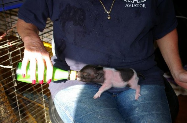 ��� �� ����-�����!