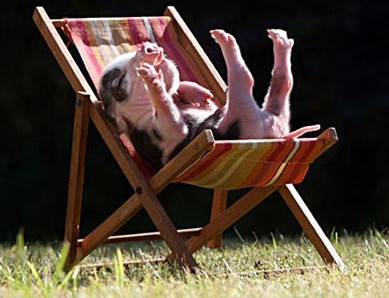 �������� ������ ���������� ���� �������