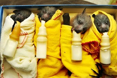 ��������� ����� �����