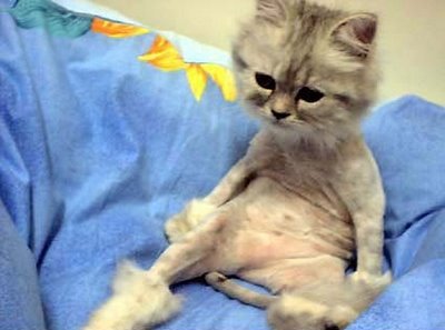 ��� ������ ����� �������?