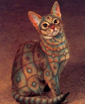 ��� ������ ����� �������?