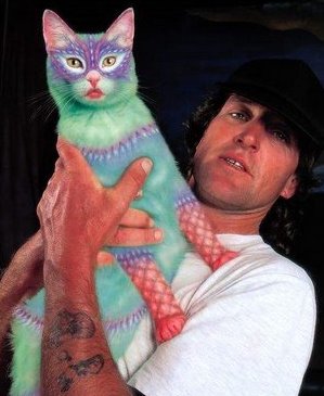 ��� ������ ����� �������?