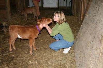 ��������� �������