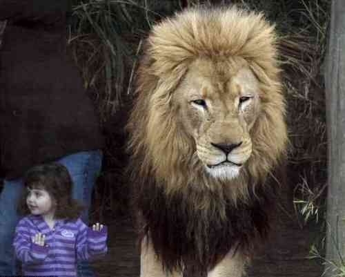 ��������� ������