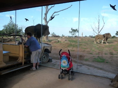 ��������� ������