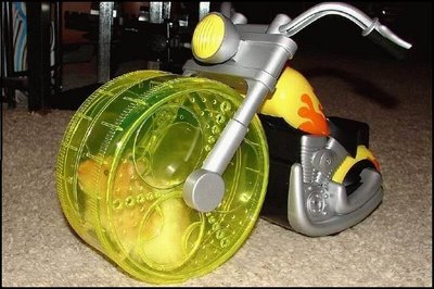 ������� �������