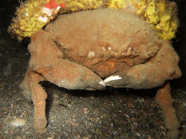 ����� ��� �� ���������� ���