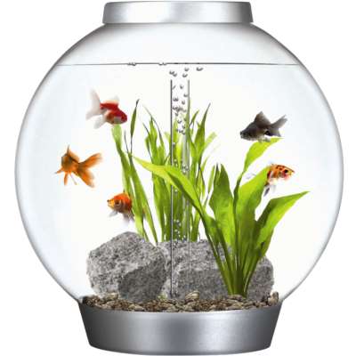 ��������� ��� ��� ���