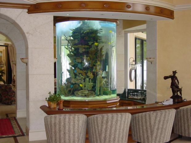 ��������� ��� ��� ���