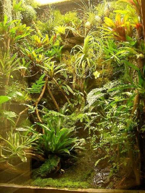 Лампы для террариума Лампы для террариума