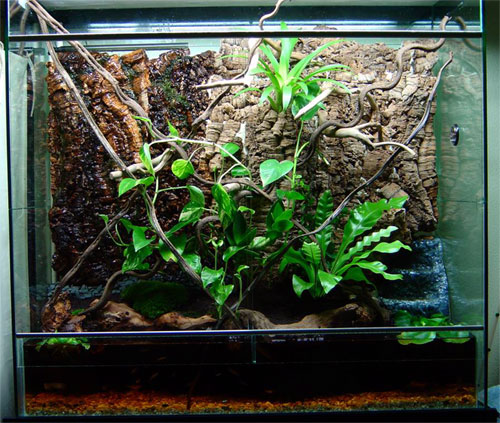 Лампы для террариума Лампы для террариума