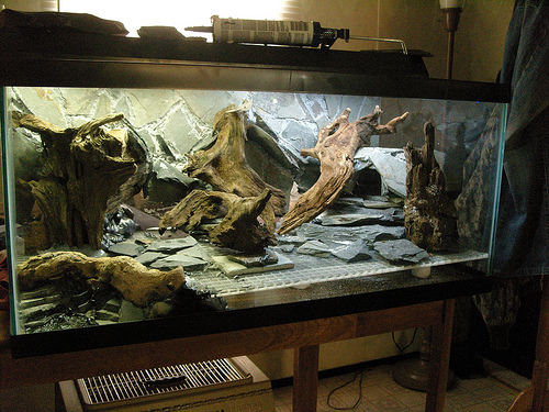 Лампы для террариума Лампы для террариума