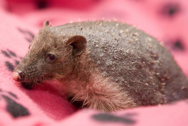 �������