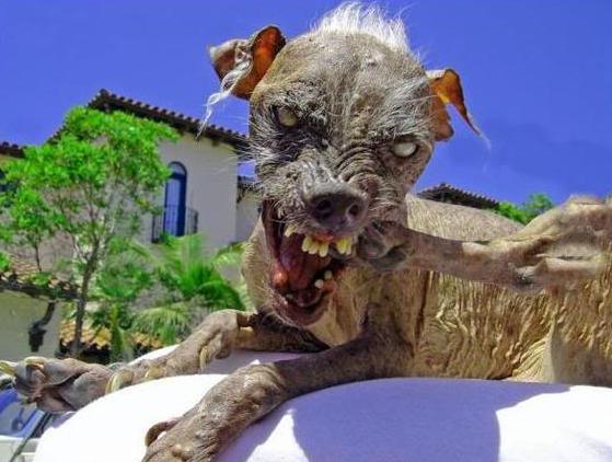 ����� �������� ������ 2009