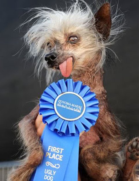 ����� �������� ������ 2009